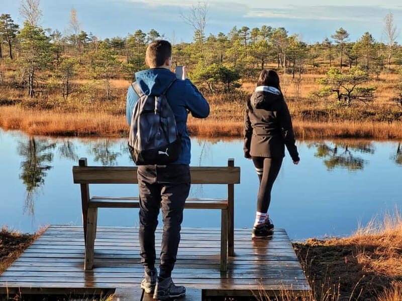 Great emeri Bog & Swamp Forest Hiking Adventure - The Practicalities: Logistics, Cost, and What’s Included