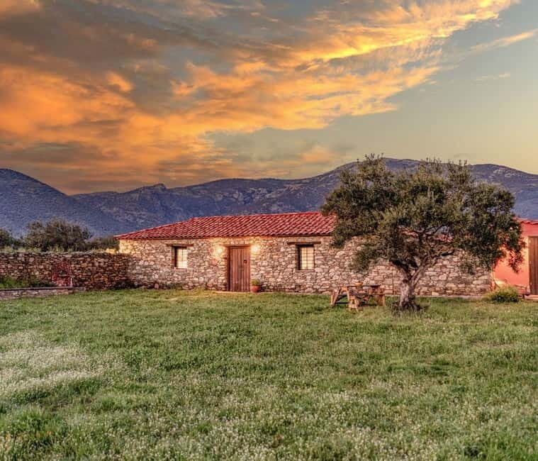Greece in a Drop: Olive Grove Walk and Olive Oil Tasting - Who Will Enjoy This Tour?