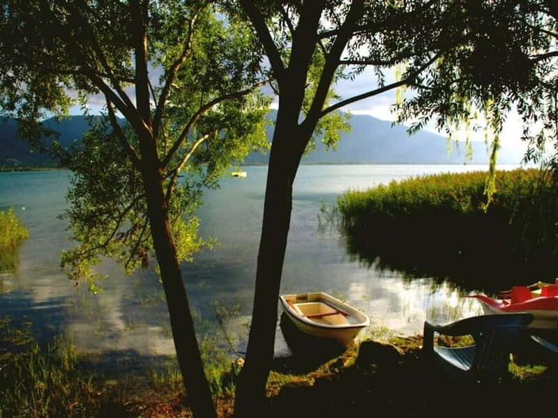 Guided Day Trip to Sapanca and Masukiye From Istanbul - What the Reviews Tell Us