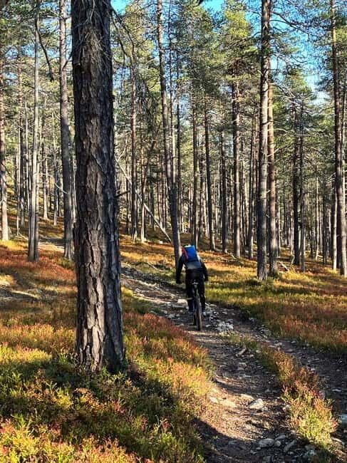 Guided Fatbike Tour in Ivalo - The Itinerary: What to Expect