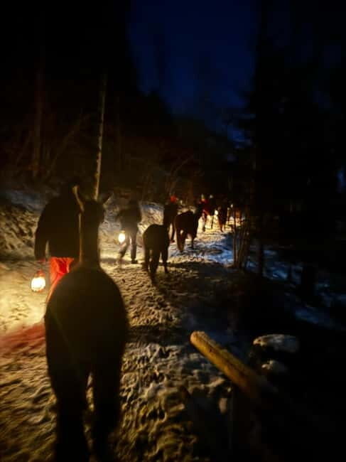 Guided llamawalk with a traditional, homemade cheesefondue - The Experience in Detail