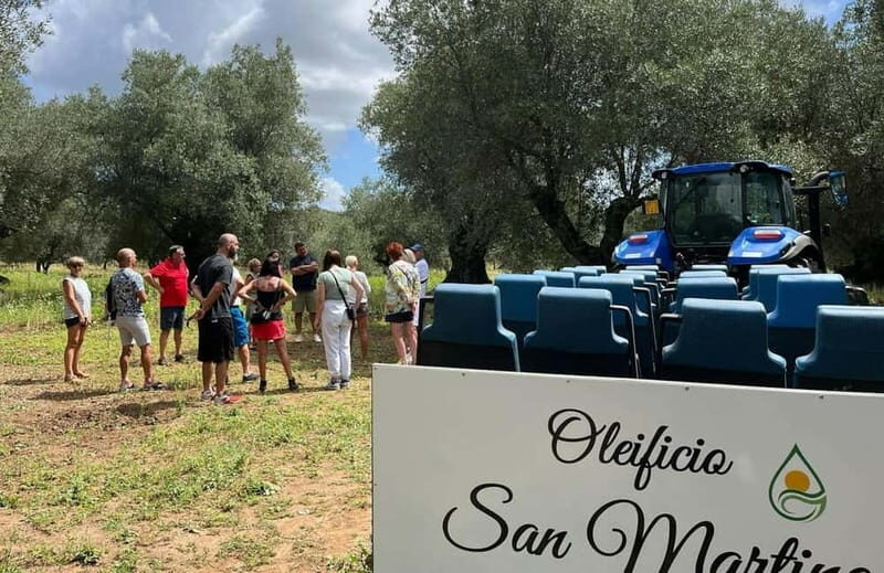 Guided Olive Oil Farm, Calabrian Lunch & Nicotera Tour - What’s Included & Practical Details