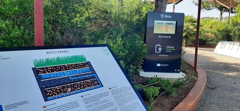 Guided Tour at BiBo Park: Ibiza's Biotech Botanical Garden - The Guided Tour: What You’ll Gain from a Professional Guide