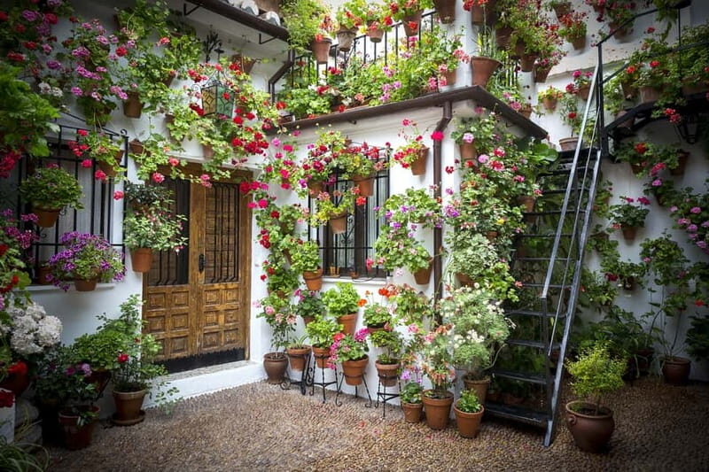Guided tour in Spanish to the courtyards of Córdoba - The Charm of Córdoba’s Courtyards