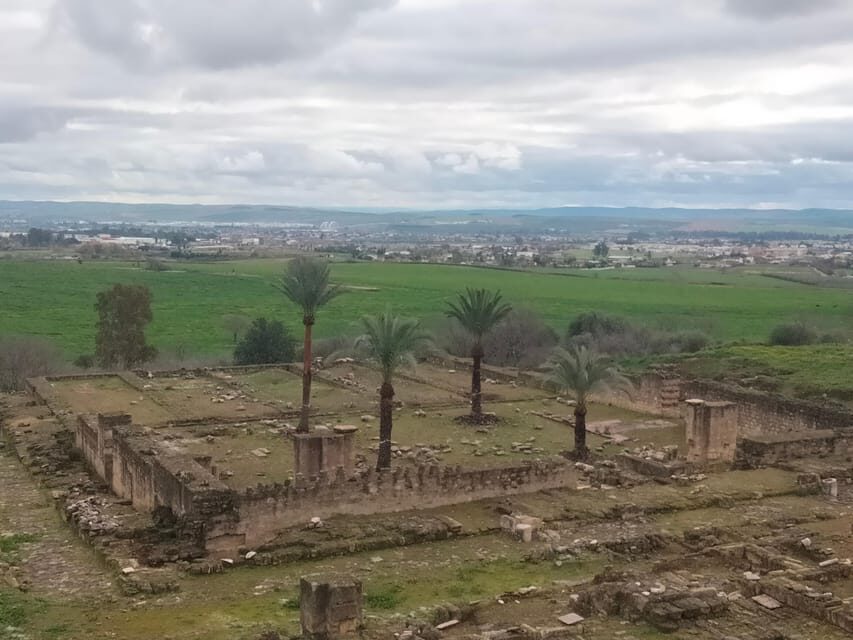 Guided tour of Medina Azahara only in french - The Sum Up