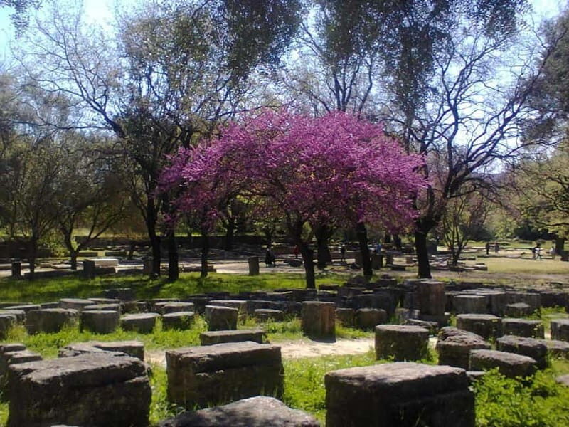 Guided visit to ancient Olympia with an Italian archaeologist tour guide - Who Is This Tour Best For?