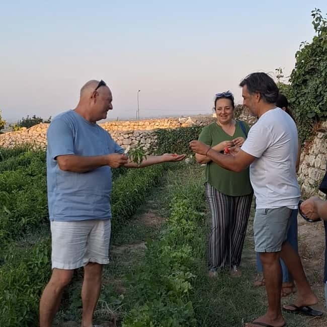 Guided visit to the Medieval Gardens of Ostuni - Who Should Consider This Tour?