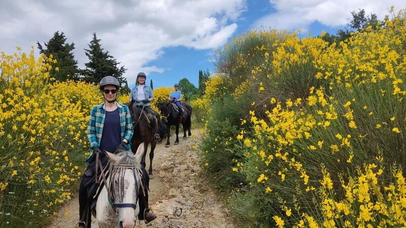 Half-day horseback riding day trip in Tuscany for beginners - The Itinerary in Detail
