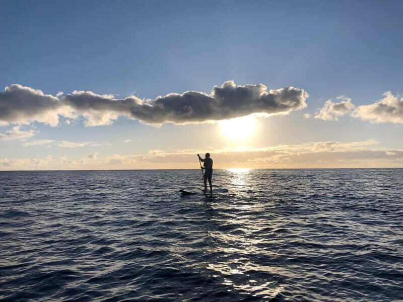 Half Day: Islet tour, snorkeling and Stand up Paddle. - What Makes This Tour a Great Value