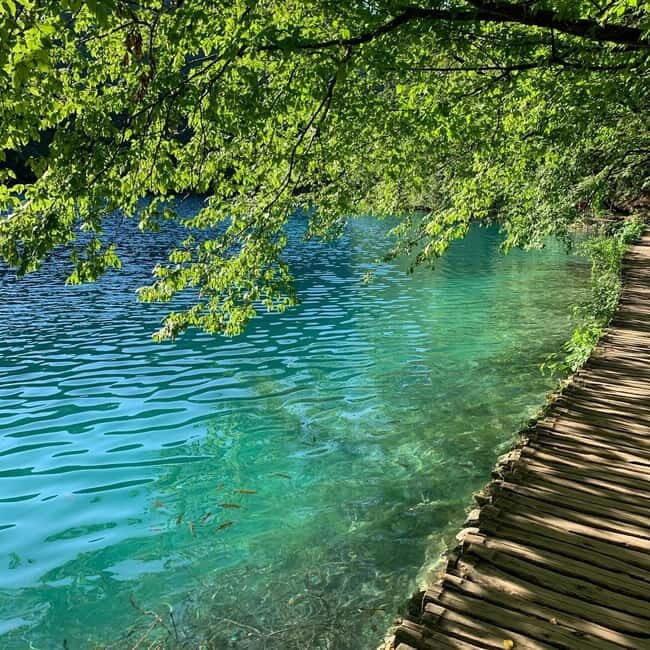 Half day tour around Plitvice Lakes - Why This Tour Offers Good Value