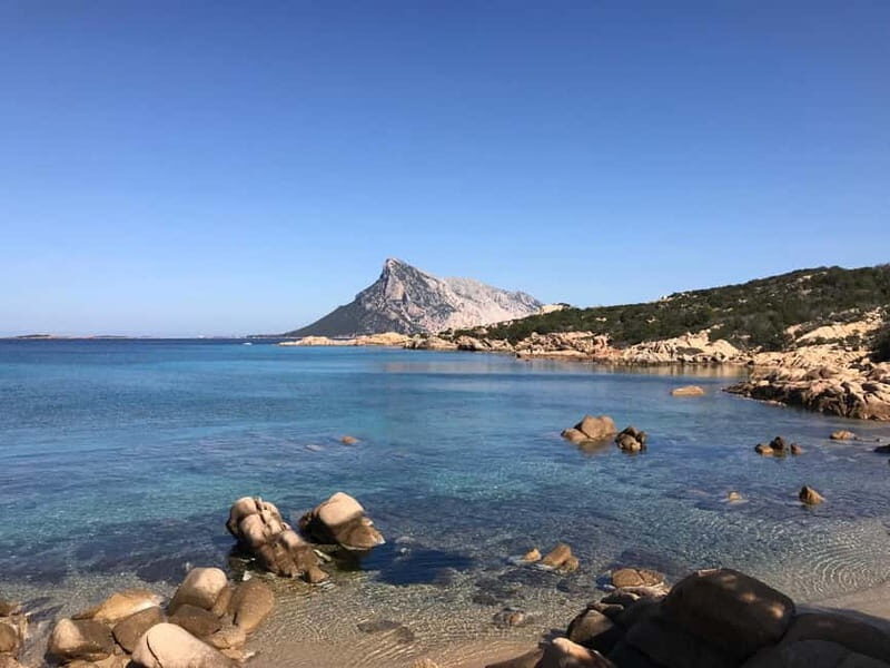 Half-day tour by dinghy in the Tavolara Marine Protected Area - Who Will Love This Tour?