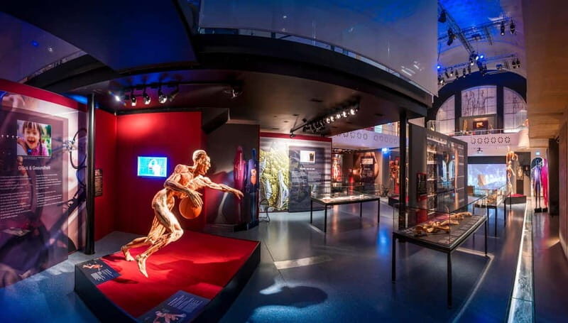 Heidelberg: BODY WORLDS Museum Entry Ticket - Interactive and Themed Exhibits