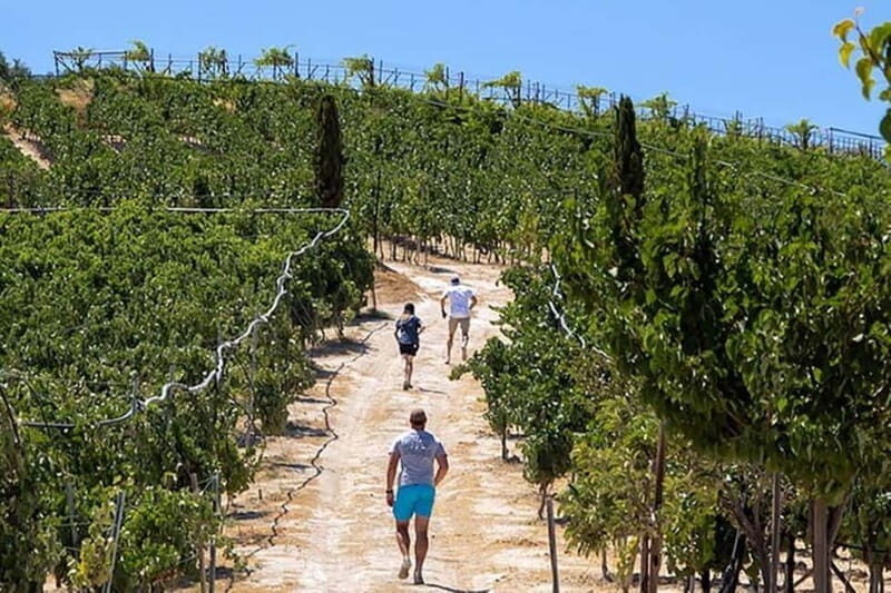 HERAKLION: Wine tasting at Douloufakis Vineyards ARISMARI - What Travelers Say