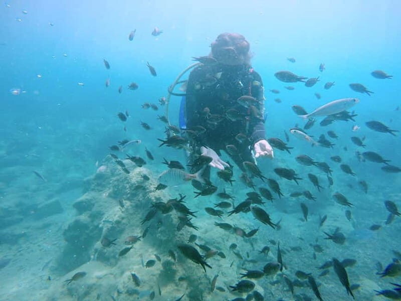 Hersonissos, Stalida: Scuba Diving Experience for beginners - Final Thoughts: Who Should Book?  