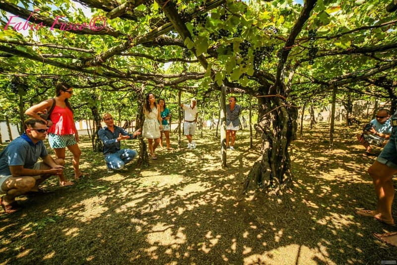 Hidden Amalfi:Vespa Tour Throught Secret Villages - Authentic, Scenic, and Delicious — Who Will Love It?