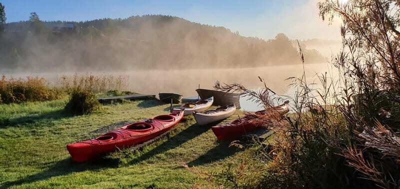 High Coast: Kayak Tour with Swedish Fika - Who Will Love This Tour?