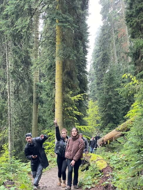 Hiking in Borjomi from Tbilisi - In The Sum Up