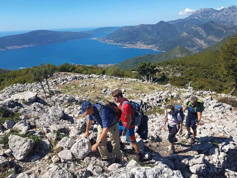 Hiking Vrmac peninsula with panoramic view on Kotor bay - What to Expect on the Trail