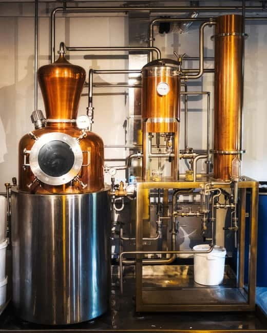 Holyrood Distillery Gin Tasting Experience - The Practical Side: What Travelers Should Know