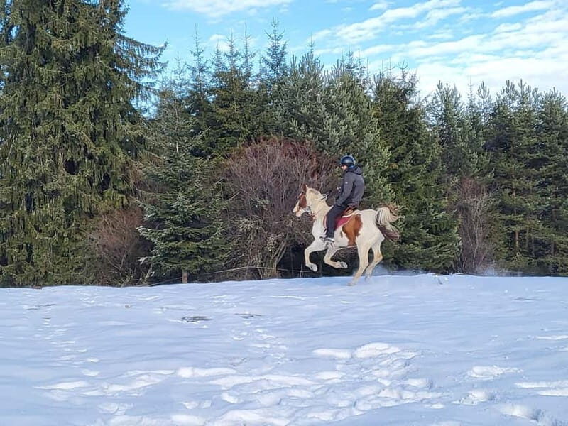 Horse Riding Day Trip in the Rila Mountain - In-Depth Breakdown of the Itinerary