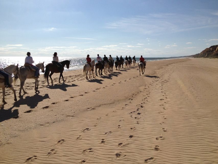 Horse-Riding Tour in Doñana National Park - What Sets This Tour Apart?