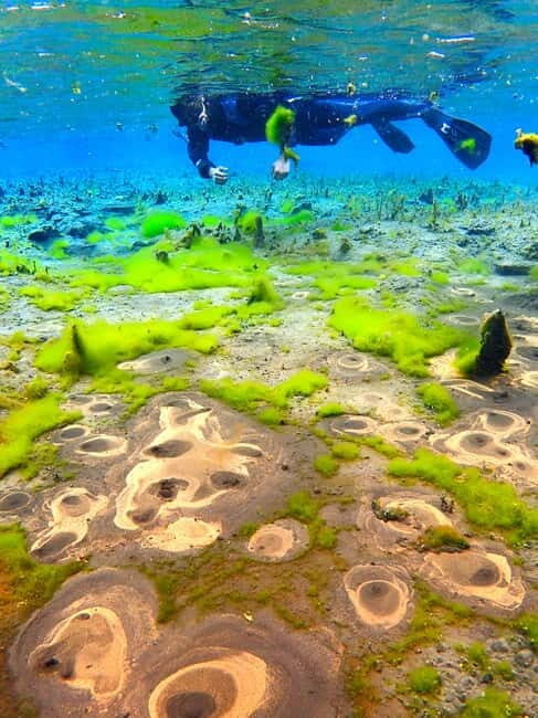 Húsavík: Bubbling Sands Snorkeling Tour - The Highlights of the Tour
