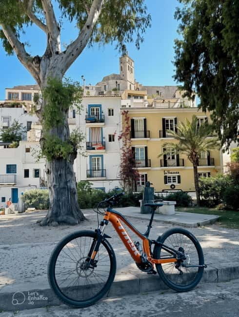 Ibiza E-Bike Tour: Explore Ibiza from the Cruise Terminal - Who Will Love This Tour?