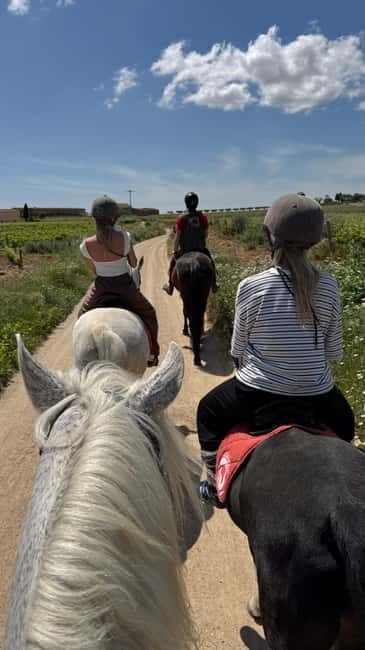 Ibiza: Private Horseback Riding Nature Experience +Transport - Itinerary Breakdown