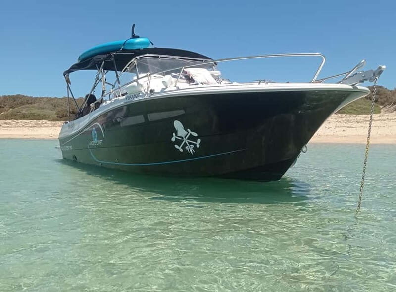 Ibiza: short "north of the island" tour from the sea in a private boat - Water Activities and Relaxation