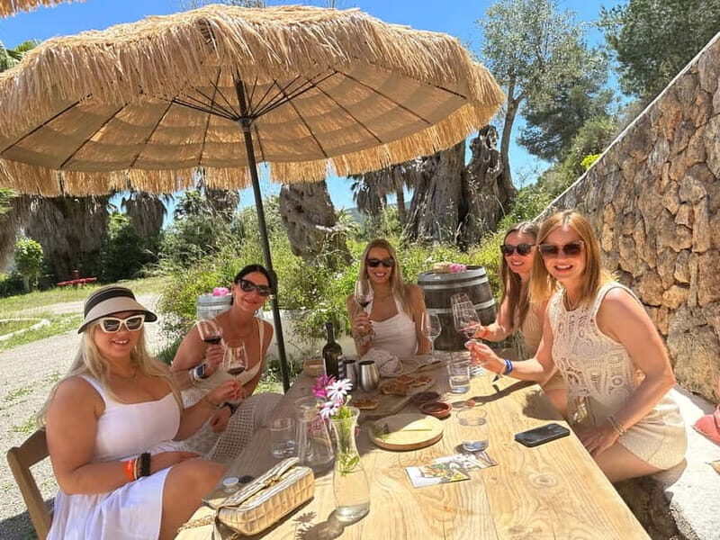 Ibiza Wine Tour: Wine Tasting + Tapas at Winery - What Reviewers Say