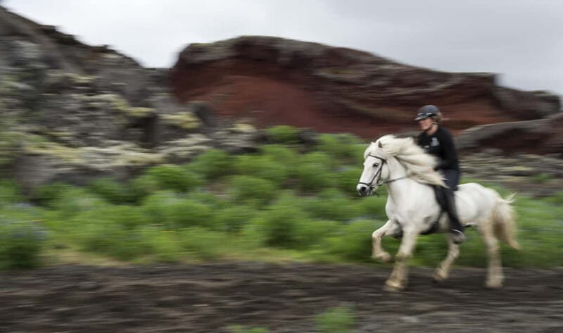 Iceland: Volcanic Landscape Horse Riding Tour - The Experience Itself: What You Can Expect