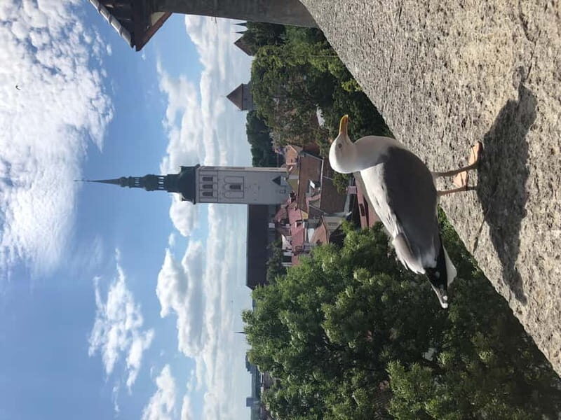 Iconic Old town Tallinn - The Itinerary Breakdown