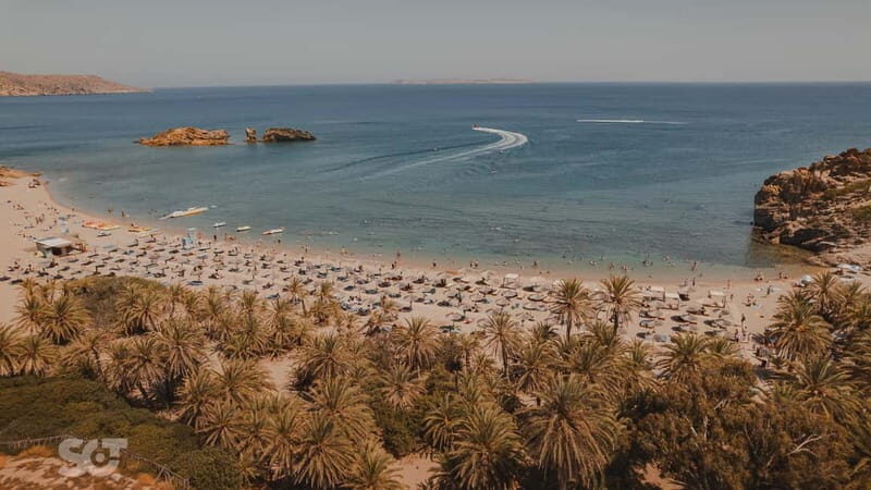 Ierapetra-Makrigialos: Vai Palm Beach, Moni Toplou & Sitia - The Practical Side: Transport, Timing, and Cost