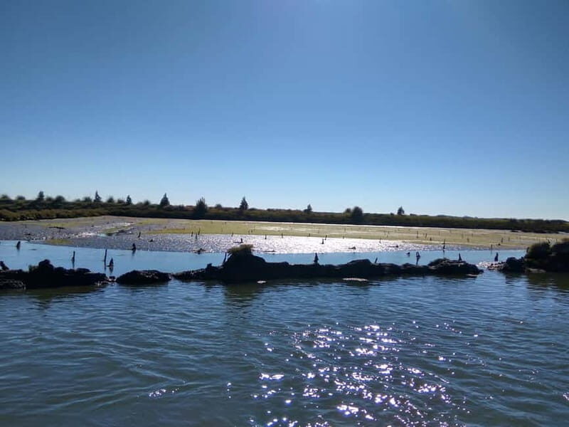 Industry or Nature Boat Tour | Speedboat - Who This Tour is Perfect For