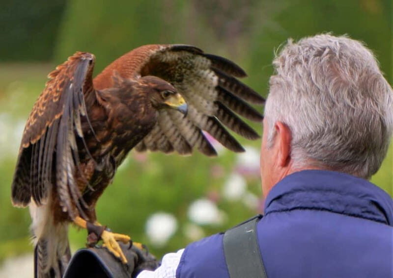 Inverness: Relaxed Private Northern Scottish Highlands Tour - The Practical Side: What You Should Know