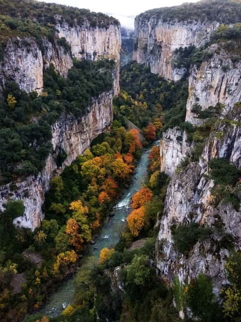 Irati Forest and Ochagavía Excursion - Who Will Love This Tour?