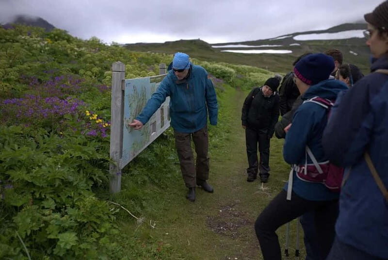 Ísafjörður: Hornstrandir Guided Hike Hesteyri to Aðalvík - Practical Details and Tips