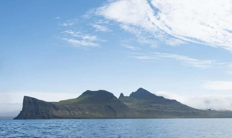Ísafjörður: Hornstrandir Nature Reserve Guided Hike - What’s Included and What to Bring