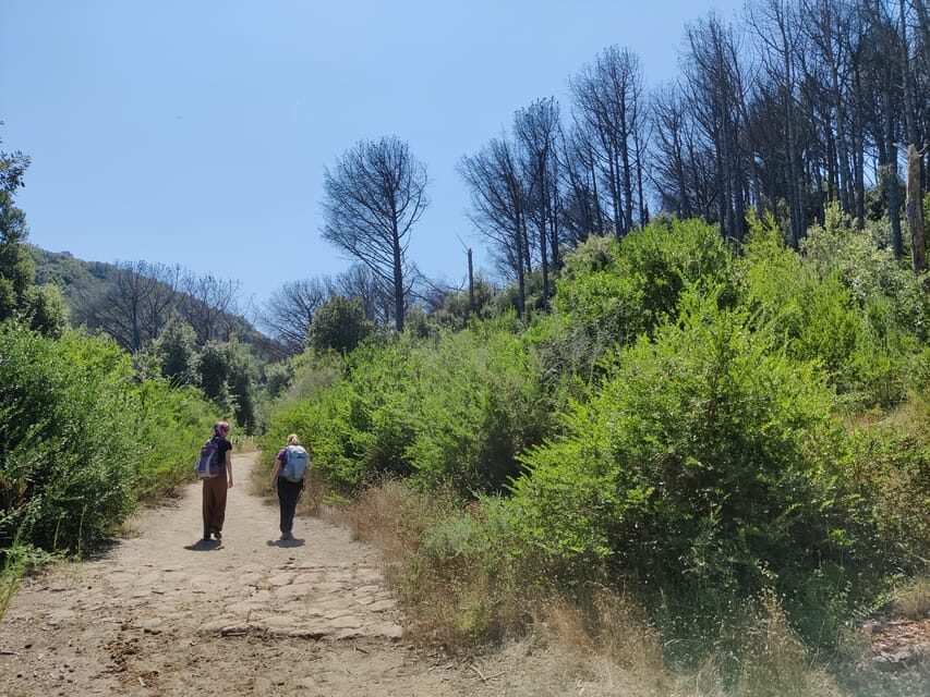 Ischia: Volcano hike - The Practical Details