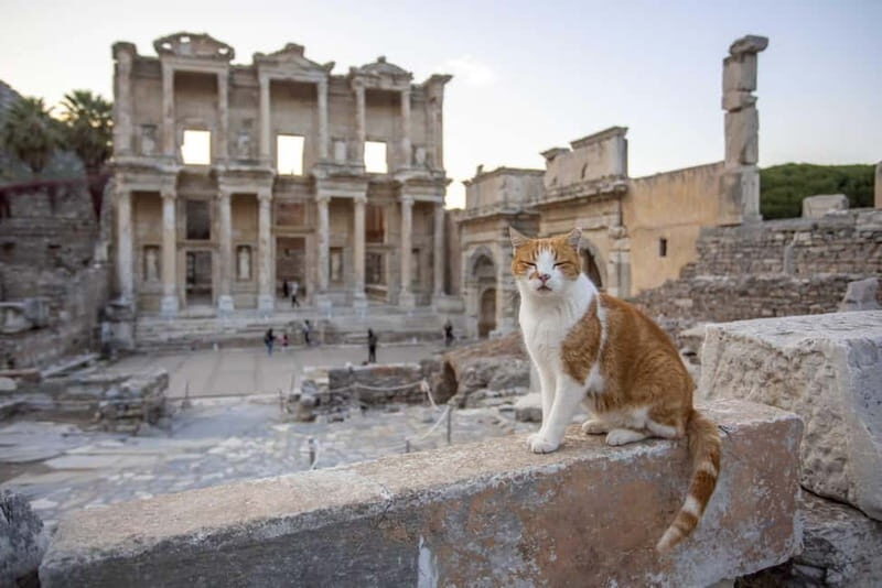 Izmir: Ephesus, Virgin Mary House & Artemis Temple Tour - Exploring the Itinerary in Detail