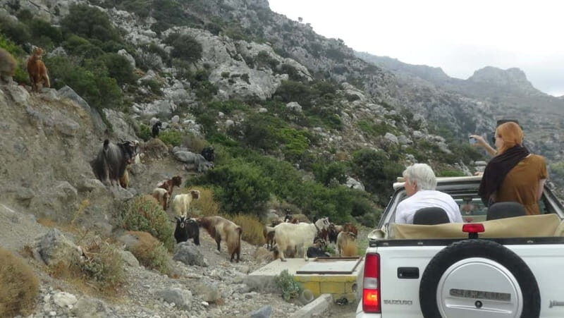 Jeep Driving Tour to Thripti Mountains and typical villages - Practical Details and Tips for Travelers