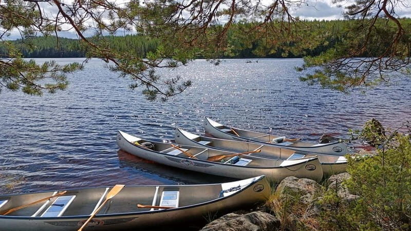 Johannisholm: Guided Canoe Tour on Lake Venjanssjön - What to Expect on the Canoe Tour