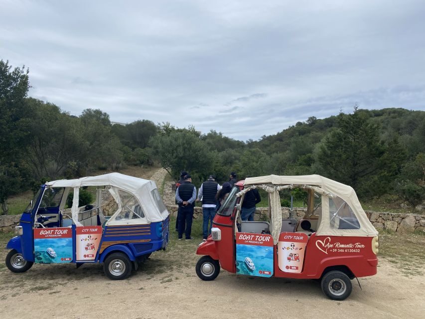 Journey Through Time - Discover Sardinia's Ancient Treasures - The Experience: What It Feels Like