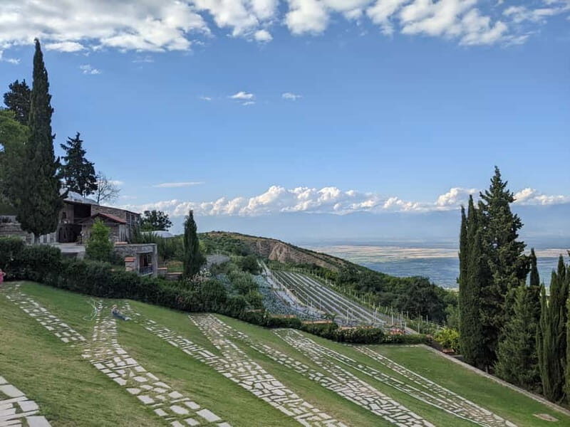 Kakheti: Wine tour from Tbilisi - Enjoy 6 sorts of wine - The Practical Details