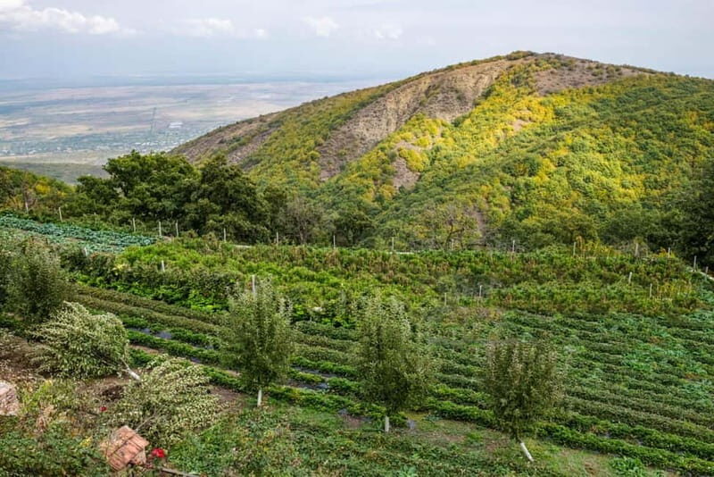 Kakheti's Contrasts: Faith & Fairytale, Bodbe & Sighnaghi - The Village Feast in Badiauri