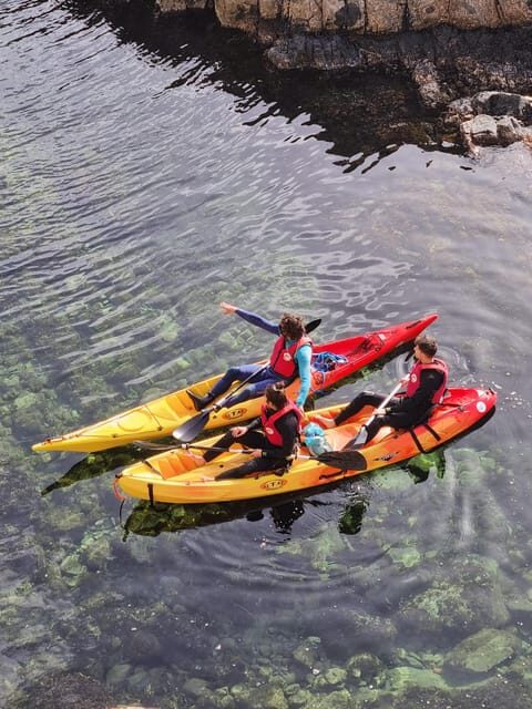 Kayak and snorkel Tour Platja d'Aro - What’s Included and What’s Not