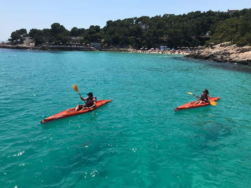 Kayak Excursion - An In-Depth Look at the Kayak Excursion in Mallorca