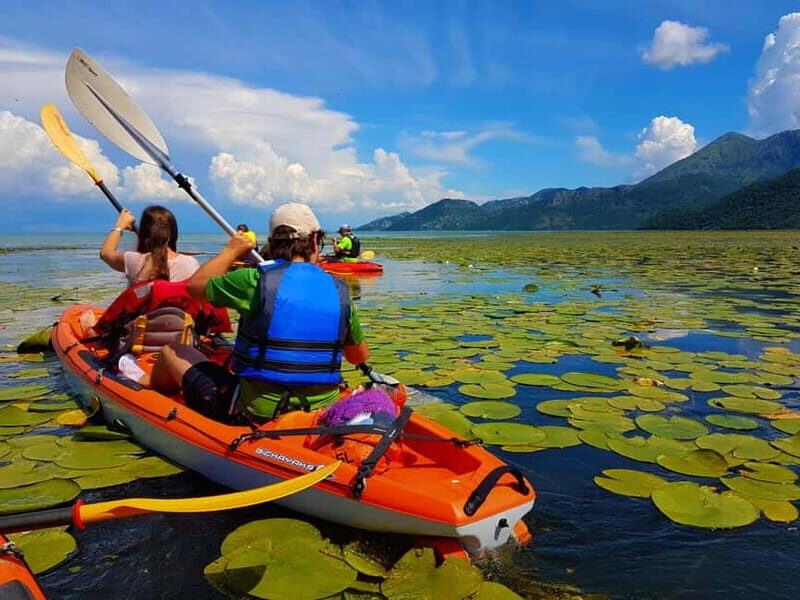 Kayak Guided Tour Skadar lake - Adventure in National park - Exploring the Historic and Natural Highlights