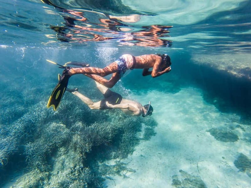 Kayak&Snorkel Tour - The Secret of the Posidonia - Practical Tips for Participants