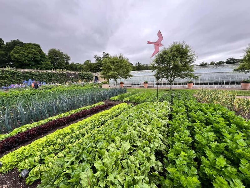 Kelso: Gardens & Grounds Ticket - The Terrace Café — A Culinary Treat